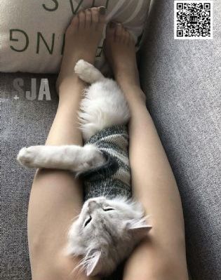 黄片国产大片_超清在线观看高清